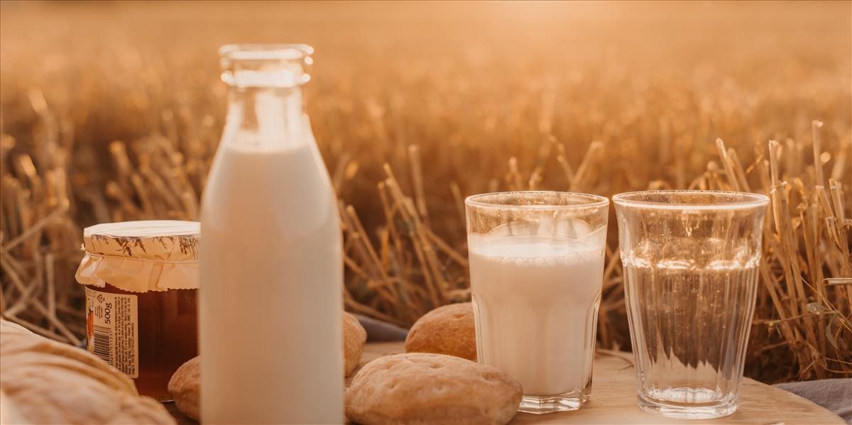 Spotreba mlieka a mliečnych výrobkov na Slovensku patrí medzi najnižšie v Európe