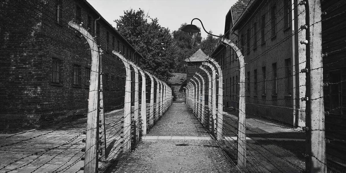 Rakúšanmi sa budú môcť stať aj potomkovia tých, ktorí z krajiny utiekli pred nacizmom