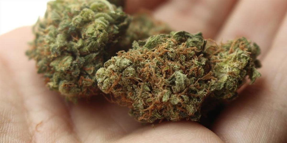 Bývalý väzeň nosil 18 rokov v nosovej dierke vrecúško s marihuanou