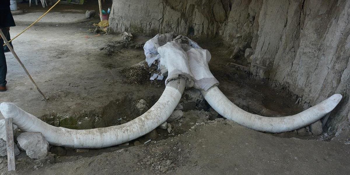 V Mexiku našli pasce na mamuty staré 15-tisíc rokov