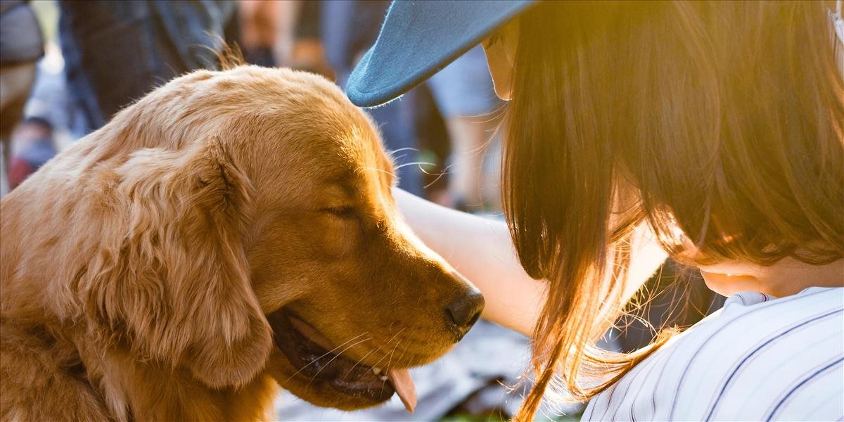 NR SR prerokováva novelu zákona o držaní psov na reťazi