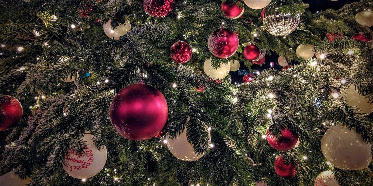 Melania Trumpová prevzala vianočný stromček pre Biely dom