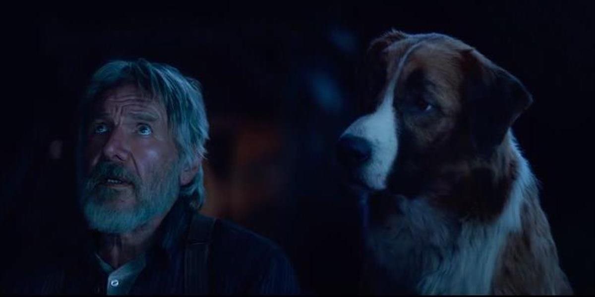 Do kín príde film na motív knihy The Call of The Wild s Harrisonom Fordom