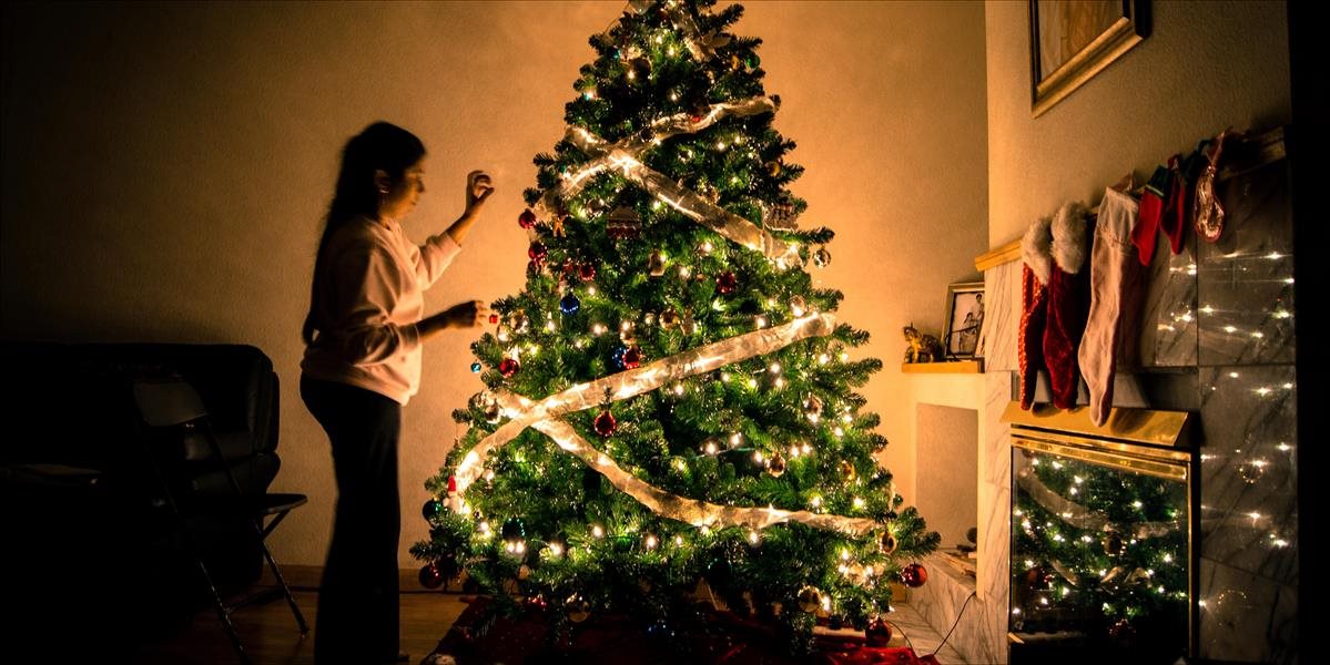 Živý verzus umelý vianočný stromček