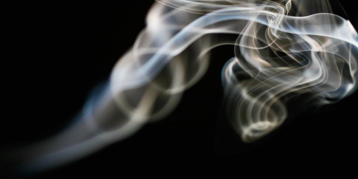 Cigarety s nízkym obsahom nikotínu dostali v USA zelenú