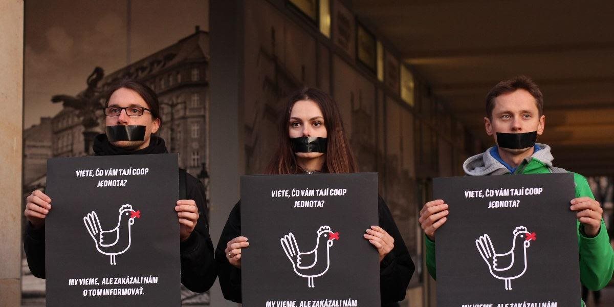 Právo ochranárov kritizovať krutosť voči sliepkam už rieši krajský súd