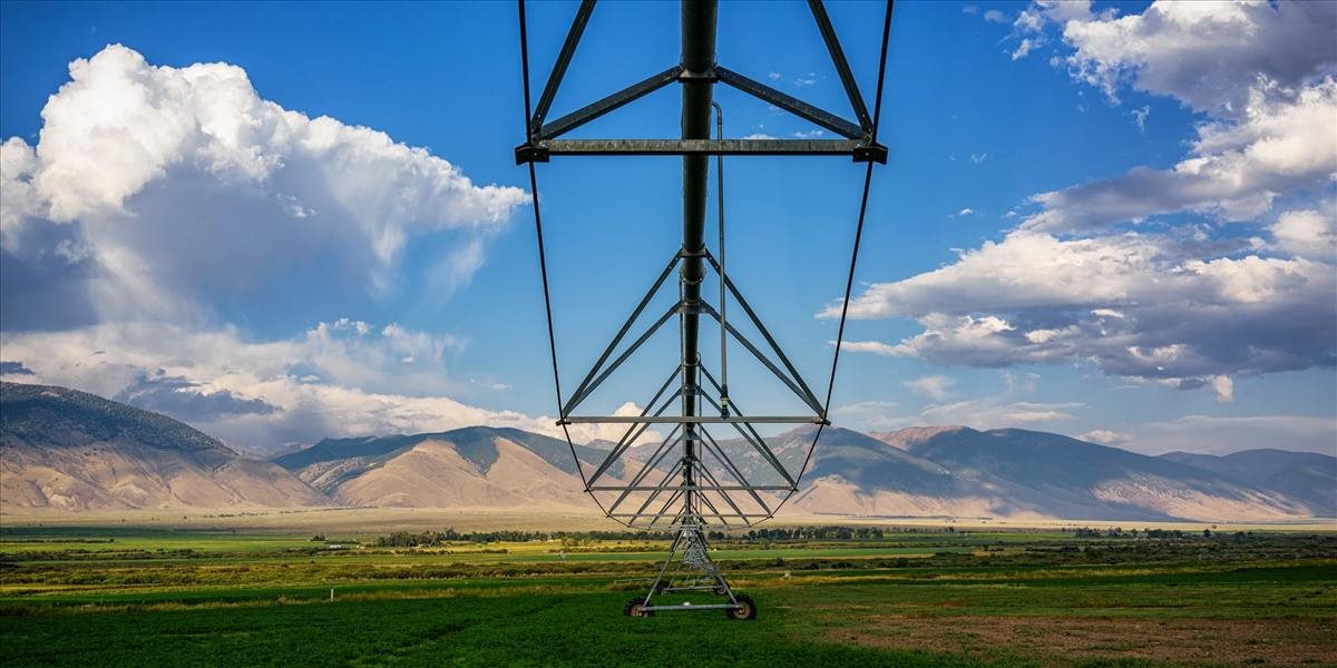 Koľko vody stojí za výrobou každodenných produktov?