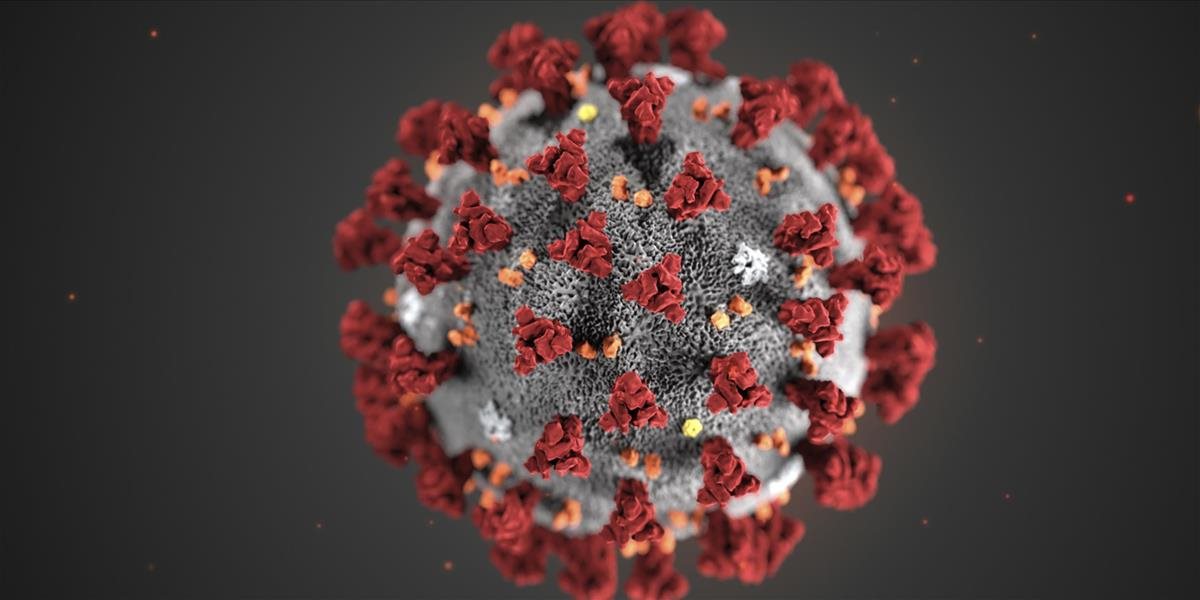 Konferencia WHO je namierená na boj proti koronavírusu