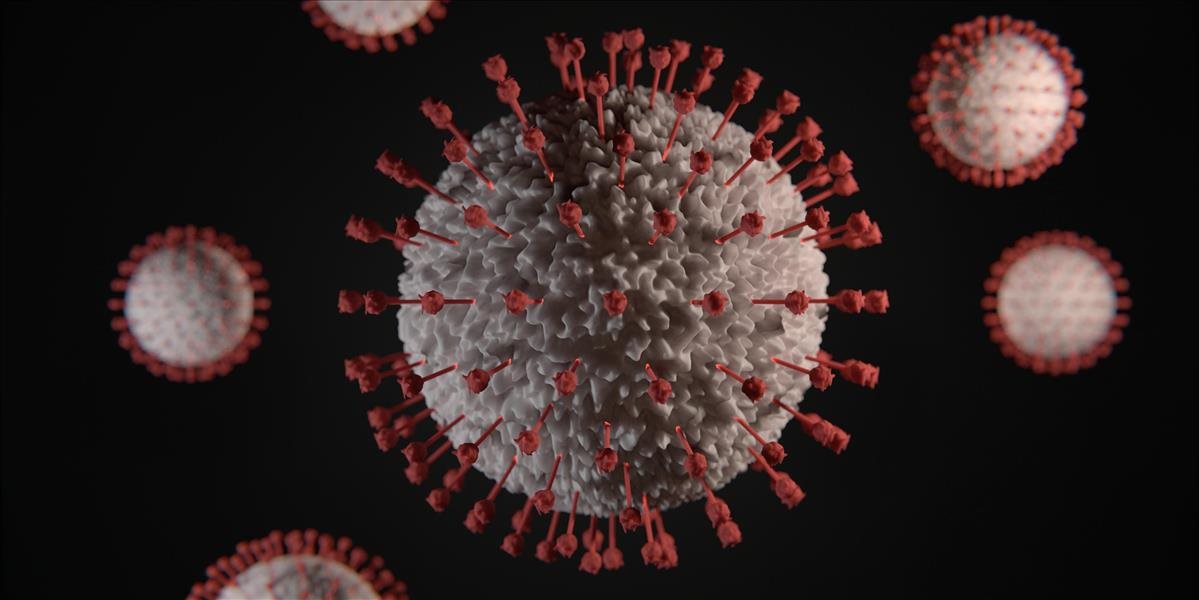 V Španielsku podľahlo vírusu vyše 500 ľudí, počet nakazených sa zvyšuje aj na Slovensku
