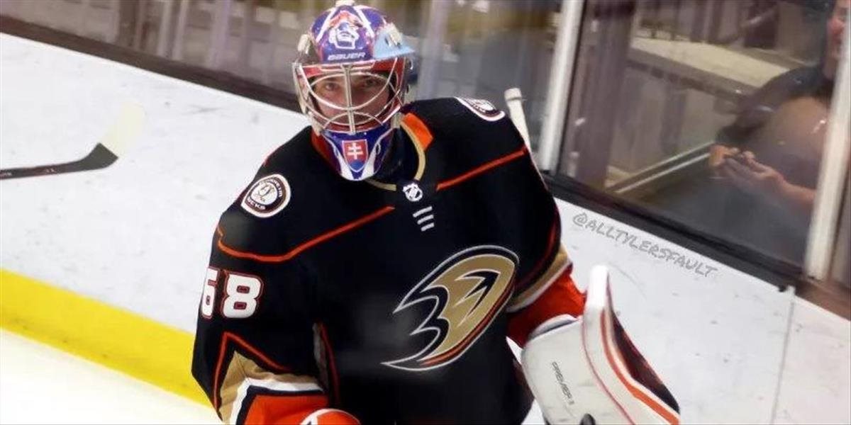 Slovenská brankárska nádej mieri do NHL