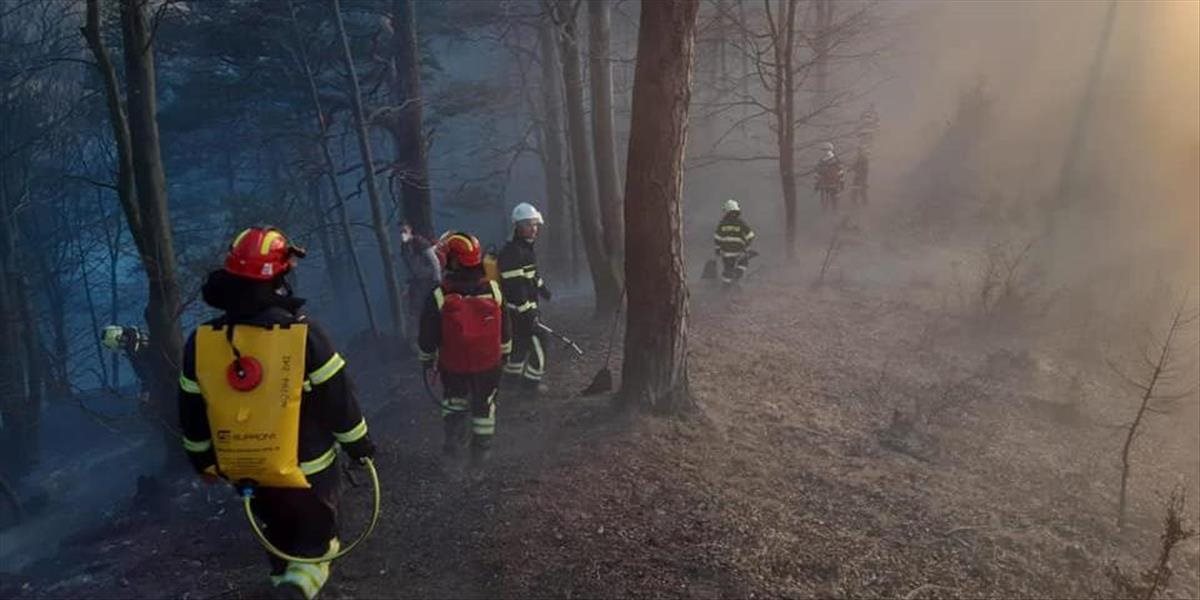 Viac ako 40 hasičov zasahuje pri požiari lesa v katastri obce Domaniža