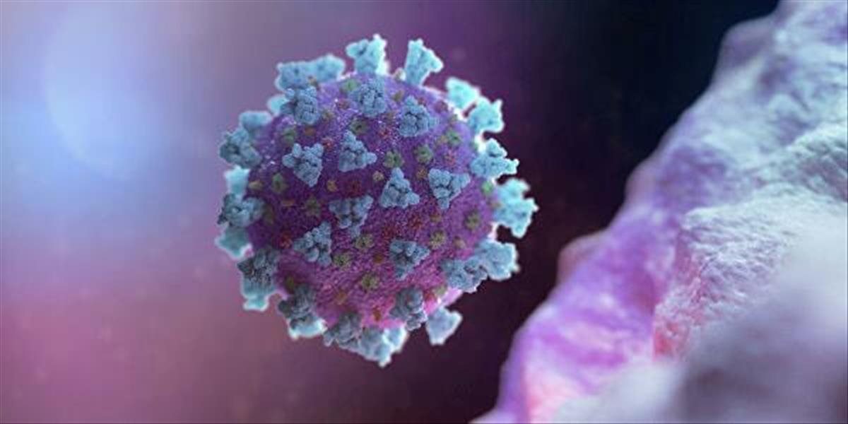 Vedci vytvorili umelé vírusy blokujúce infekcie koronavírusu