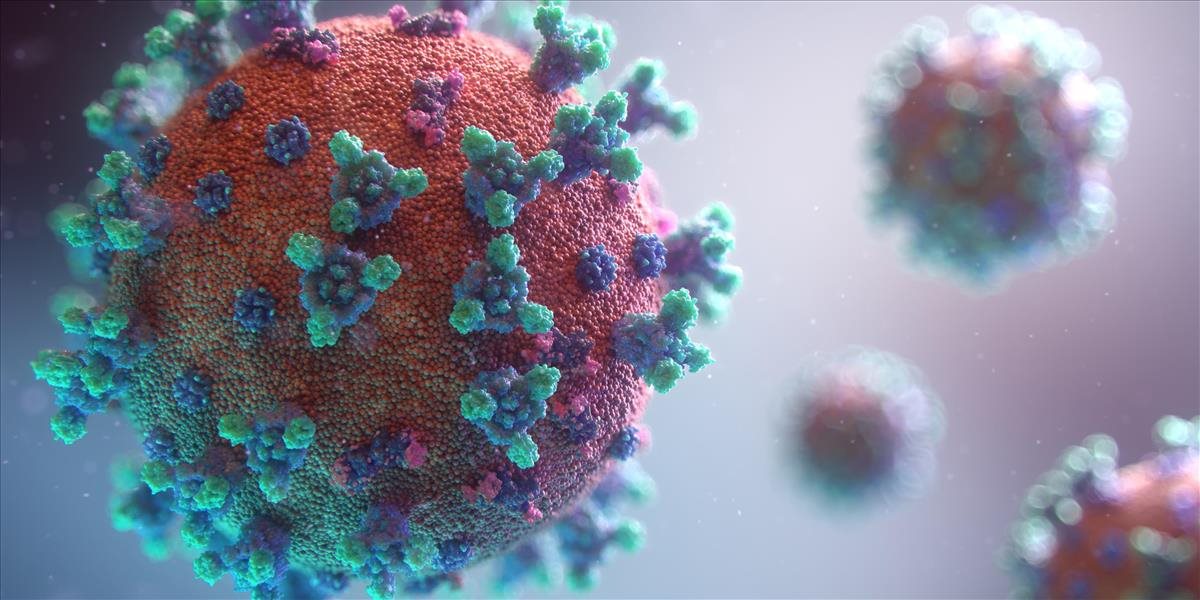 Aký má priebeh pandémia koronavírusu vo svete?