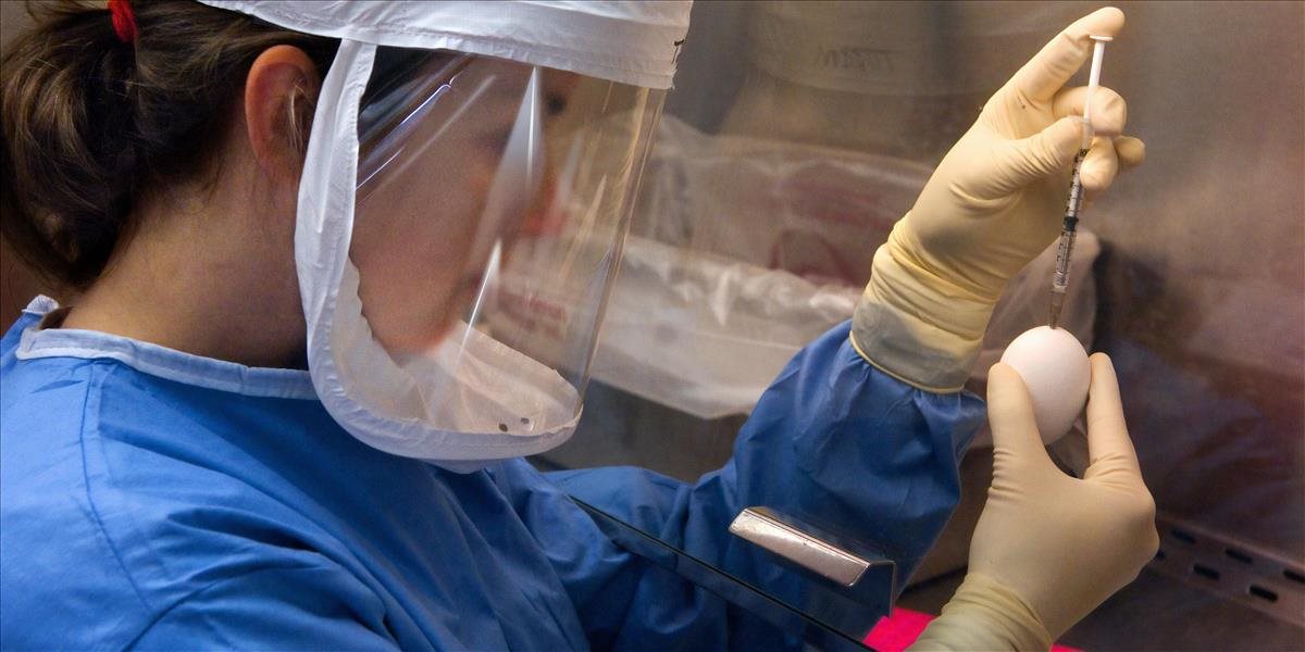 S výrobou vakcíny treba začať čím skôr, upozorňuje britská vakcinologička