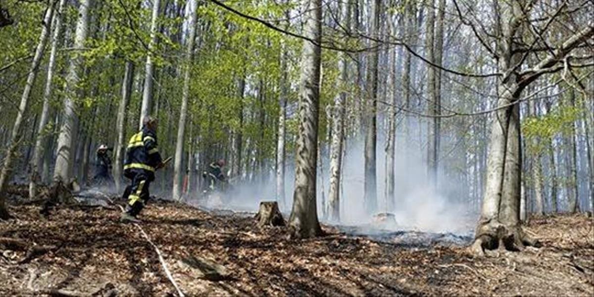 S požiarom lesného porastu v Lúke bojovali hasiči sedem hodín
