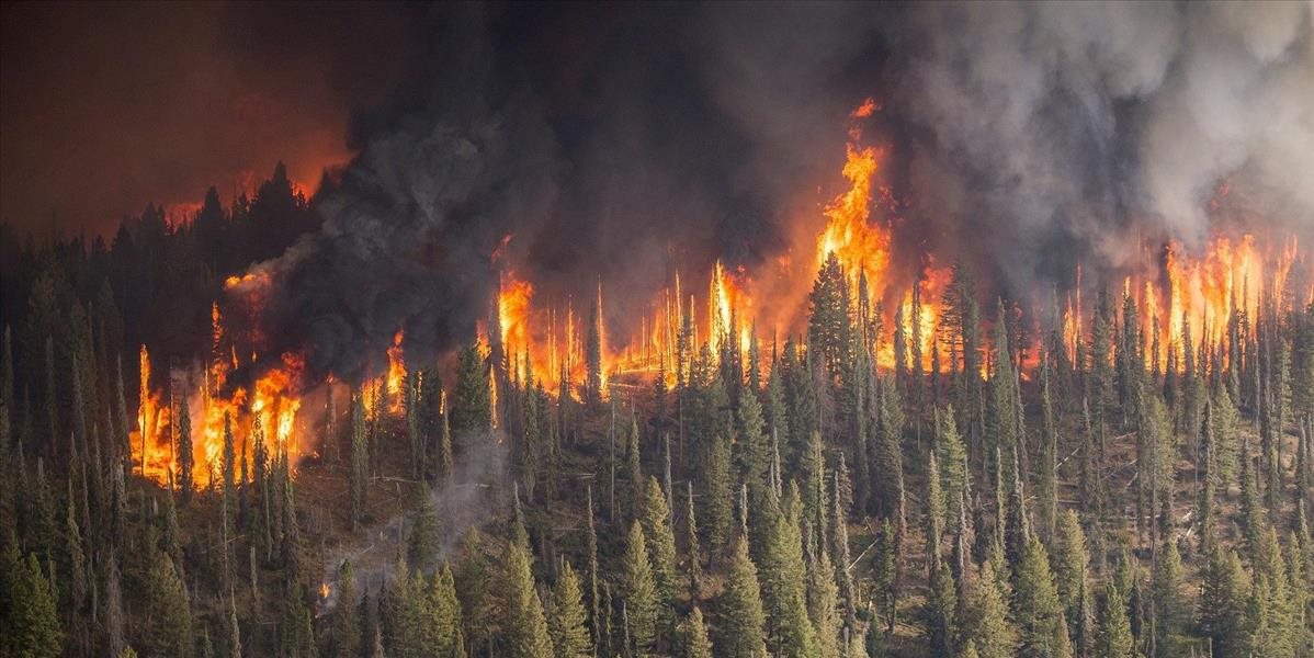 Rusko bojuje s požiarmi, tisíce hektárov lesa sú v plameňoch