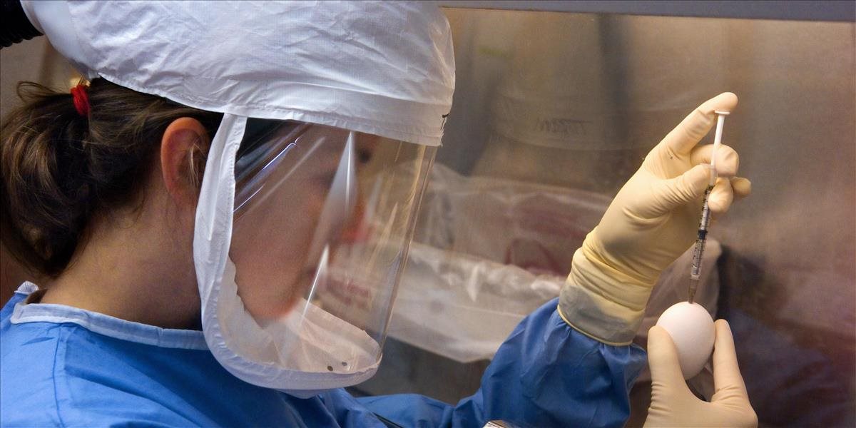 Univerzita v Oxforde očakáva do polovice júna výsledky z testovania vakcíny proti koronavírusu na ľuďoch