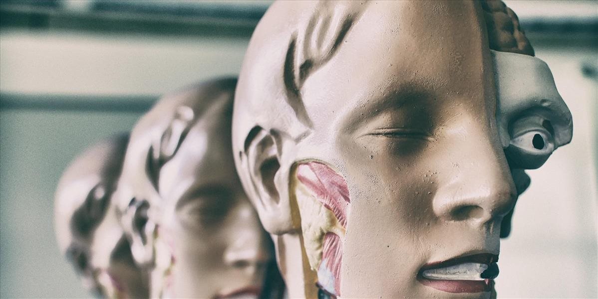 Budúci zdravotníci sa budú učiť anatómiu pomocou 3D technológie