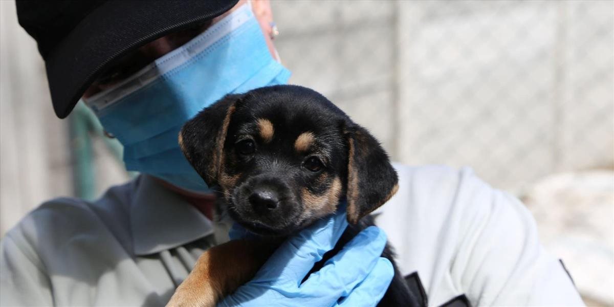 V nákupnom centre zamkla dvojica do odkladacej skrinky šteňa
