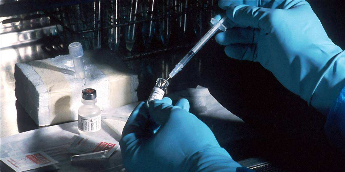 Američania hlásia zlom: Testovaná vakcína vyvolala tvorbu správnych protilátok