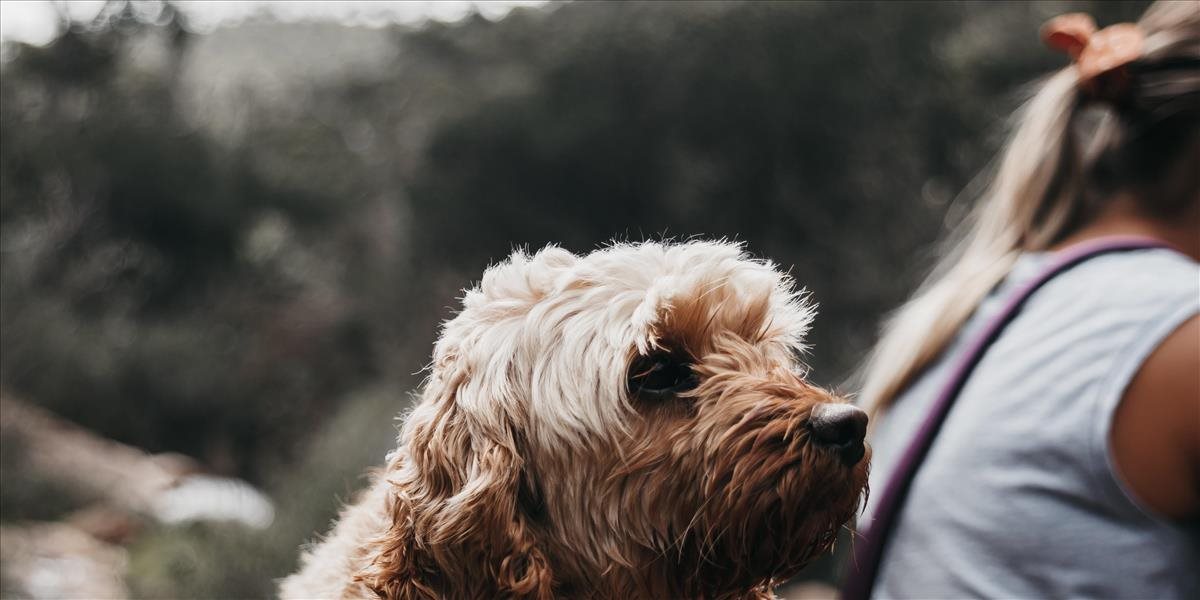Nový obrazový snímač vás rozpozná od psa a spozná, že nemáte rúško