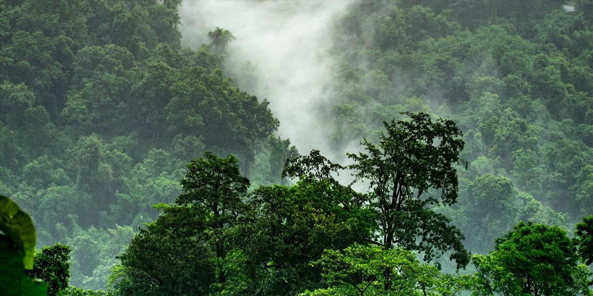 Brazílsky prezident chce privatizovať pôdu v pralese