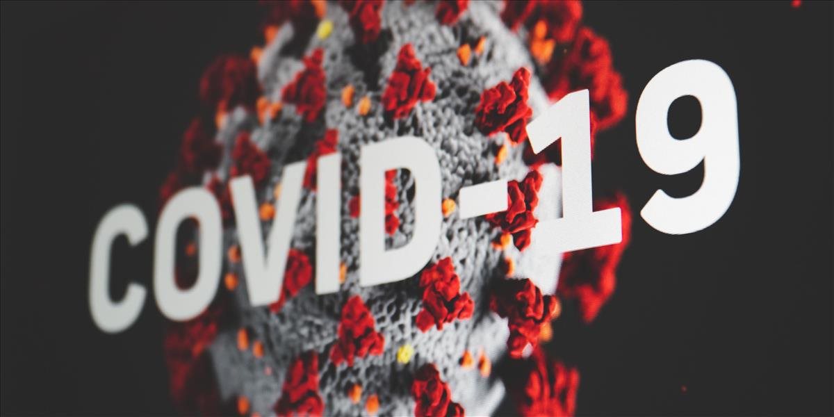 Laboratórium vo Wu-chane odmieta tvrdenie, že odtiaľ unikol koronavírus