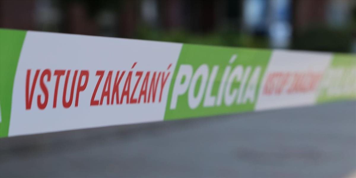 Historický úlovok bratislavskej kriminálky, pri akcii Putika zaistili takmer 40-tisíc dávok drog