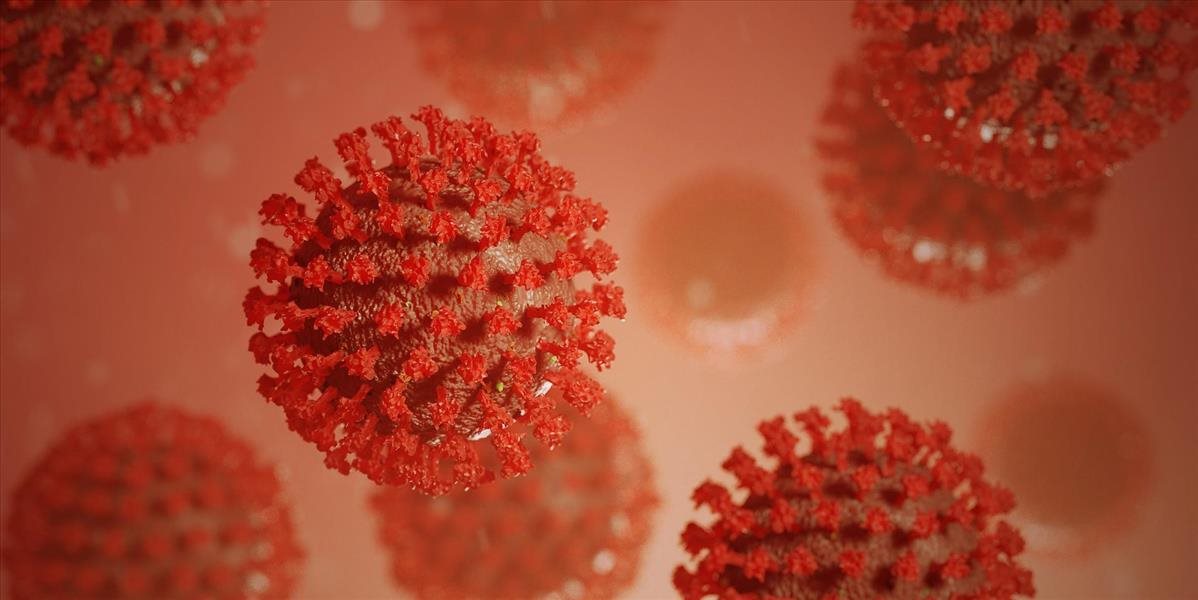 Začiatkom týždňa zaevidovalo Slovensko jeden nový prípad koronavírusu