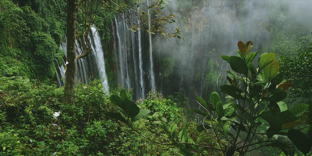 Odlesňovanie amazonského pralesa pokračovalo v máji rekordným tempom