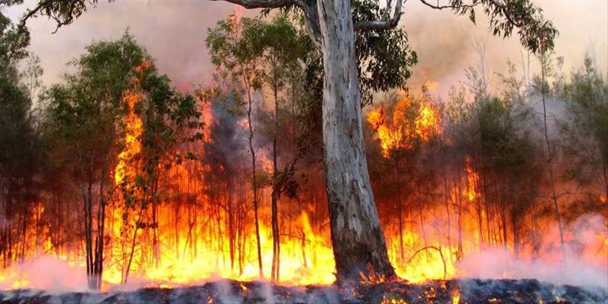 Vedci spojili obrovské lesné požiare na Sibíri s rekordne vysokými teplotami