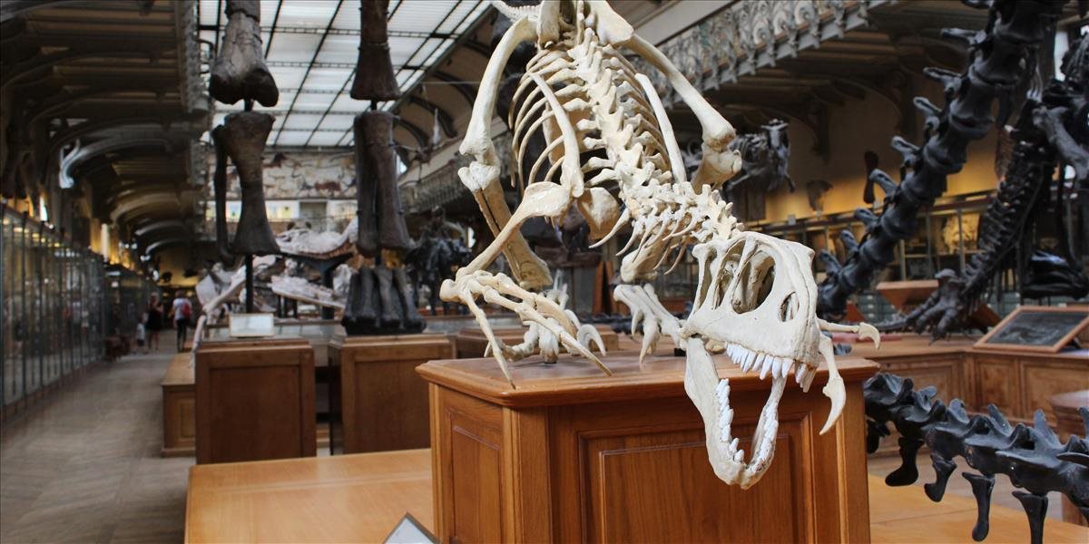 Objavili nový druh dinosaura