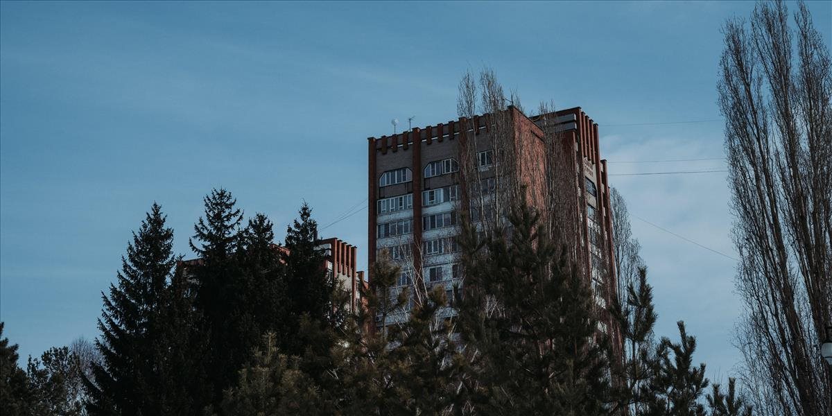 Stromy v mestách dokážu zachytiť 60 percent znečisťujúcich látok