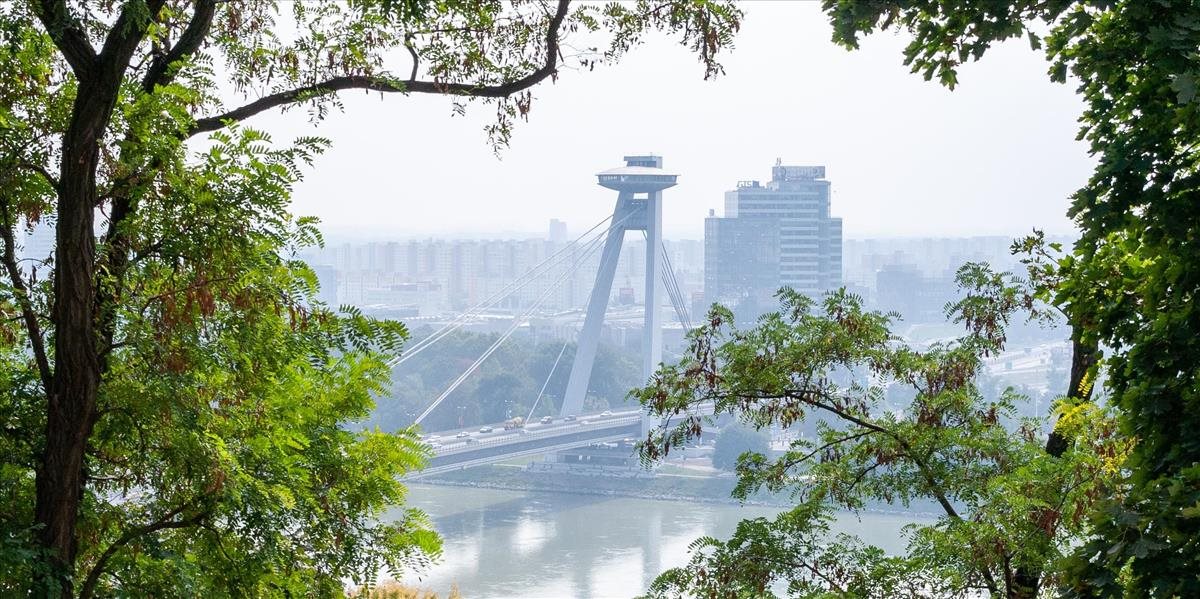 Hlavné mesto sa zazelená: Do roku 2022 chce vysadiť 10-tisíc stromov