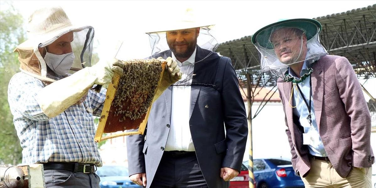 Ministerstvo obrany má nových nájomníkov, v areáli rezortu nechali osadiť včelie úle