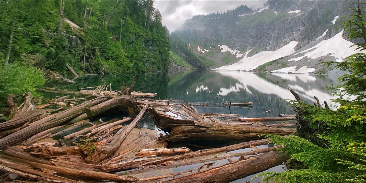 Putin navrhol tvrdý plán na záchranu ruského lesa