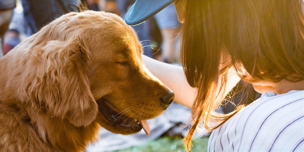 Psy dokážu odhaliť nakazených koronavírusom: Spoznajú aj bezpríznakových