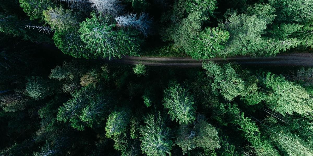 Slovensko v ochrane prírody výrazne zaostáva za susednými krajinami