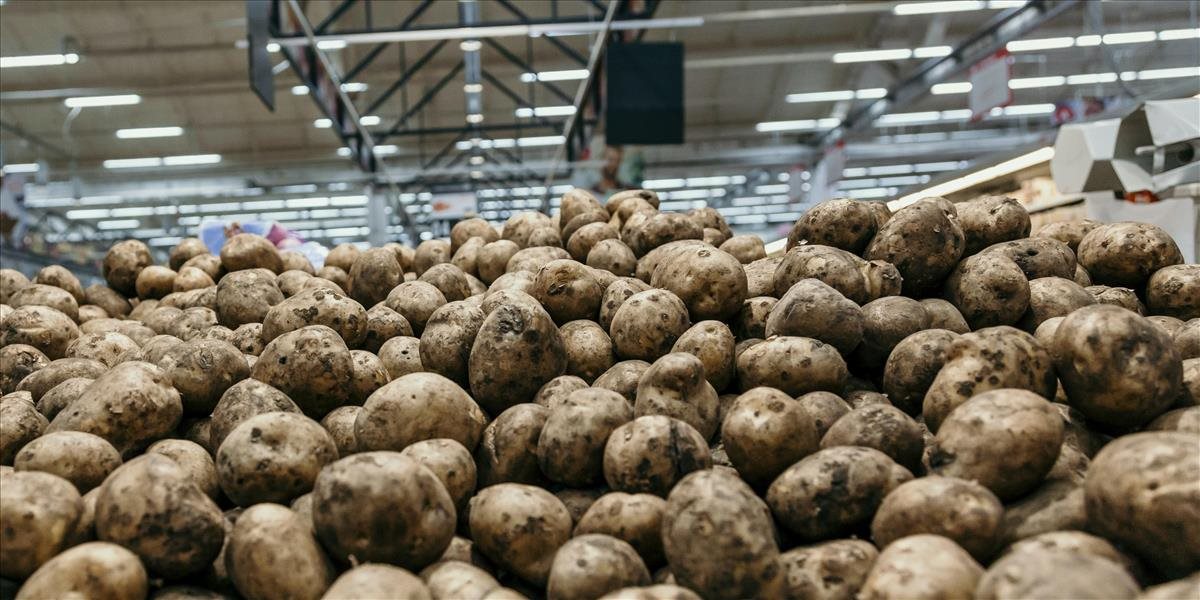 Poľnohospodári bijú na poplach a hovoria až o zemiakovej tragédii