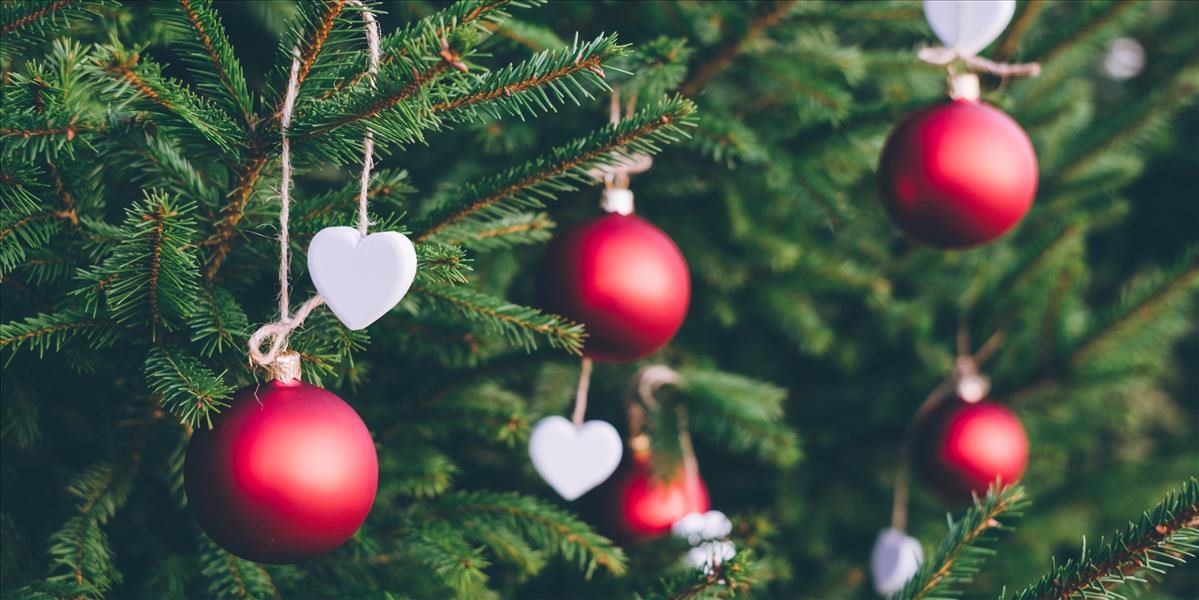 Čo prírodu veľmi trápi na Vianoce?