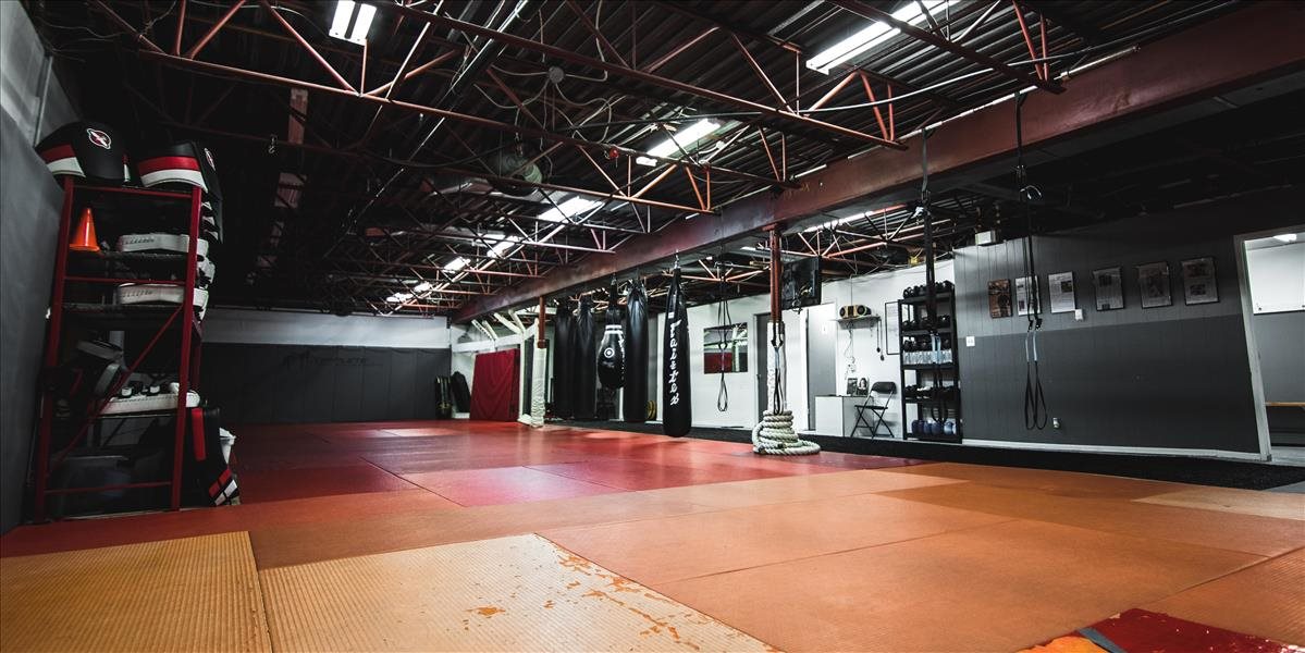 MMA: Patrik Kincl knokautoval legendu v 1. kole