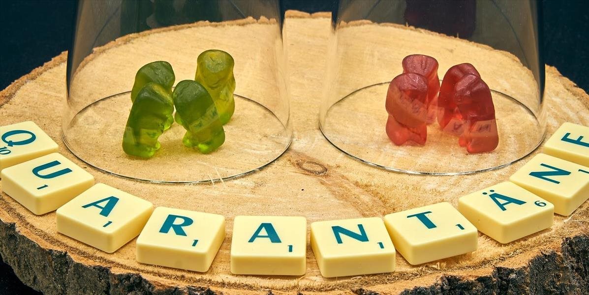 Ako znášajú koronavírus a karanténu naši politici?