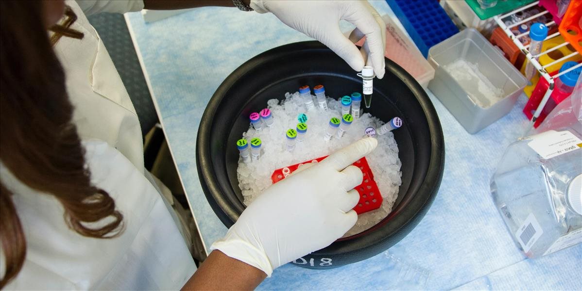 Ktorému odvetviu sa "vďaka" koronavírusu tohto roku darilo?