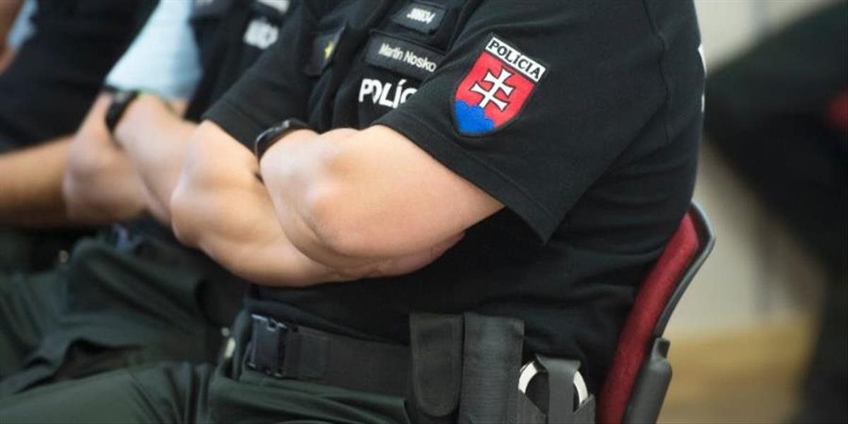 Kandidáti na nového policajného prezidenta budú vypočúvaní v pondelok