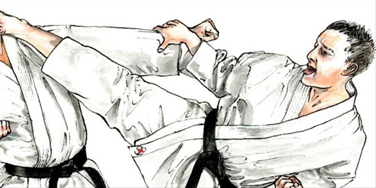 Celebrity a bojové umenia ?