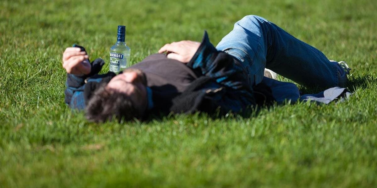 Opitý šofér vrazil do stromu