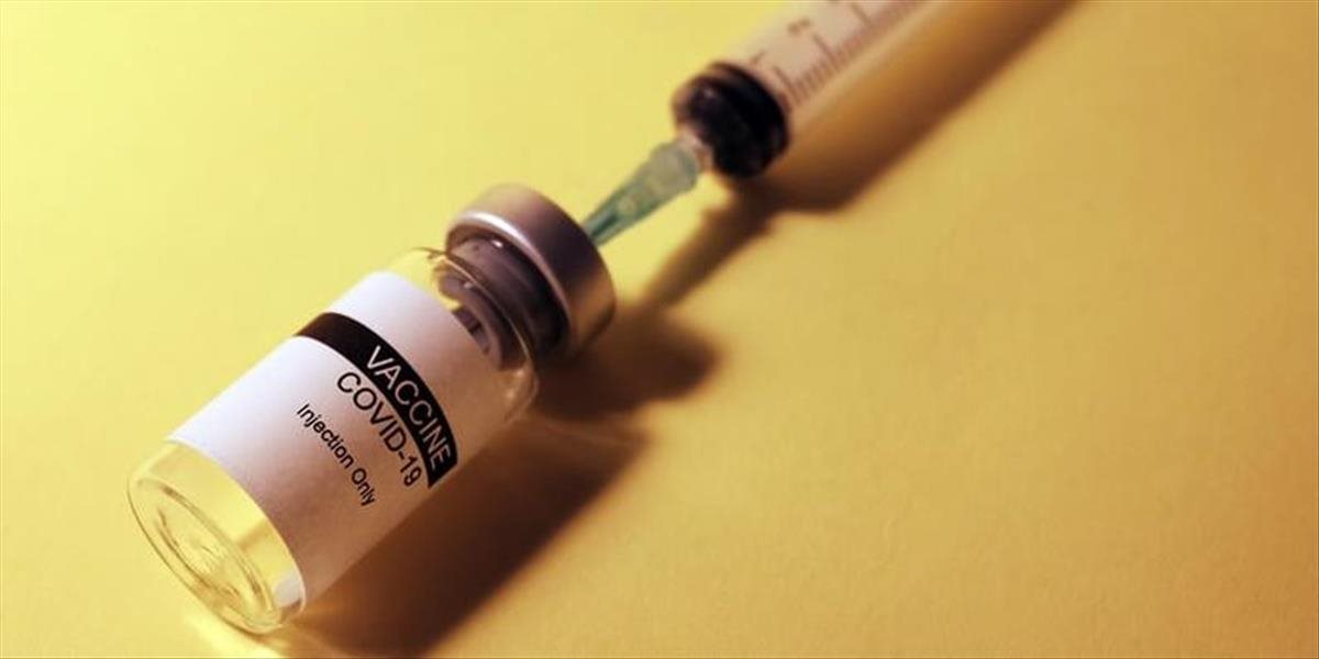 Vedci potvrdili, že jediné východisko z pandémie je očkovanie