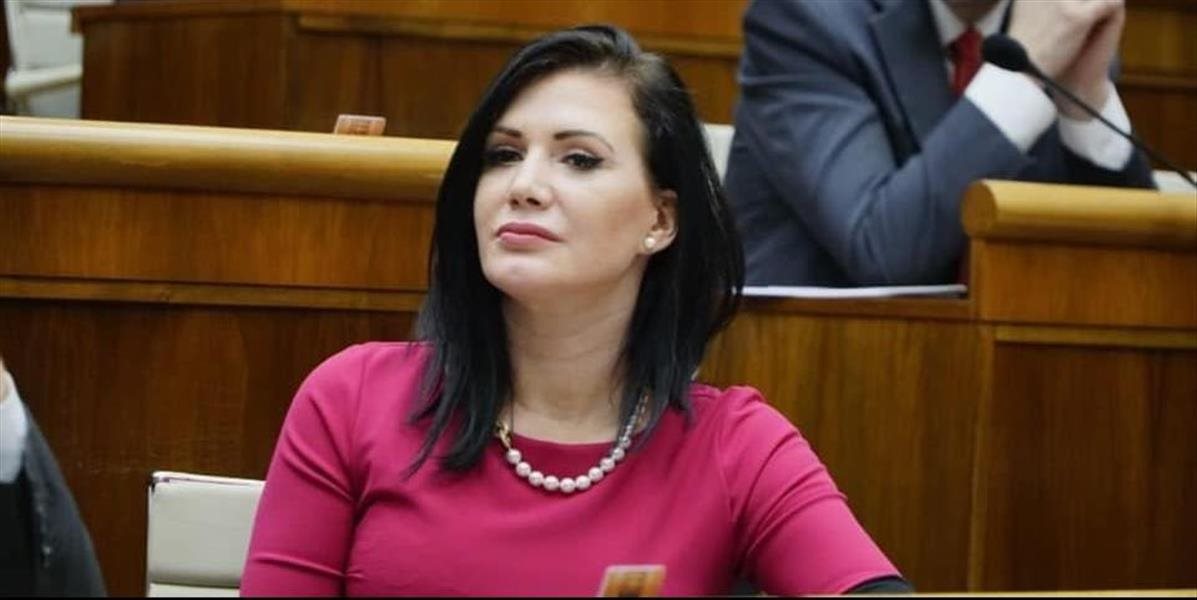 Podľa Cigánikovej je súčasná vláda plne funkčná. Opozícia už hovorí o predčasných voľbách