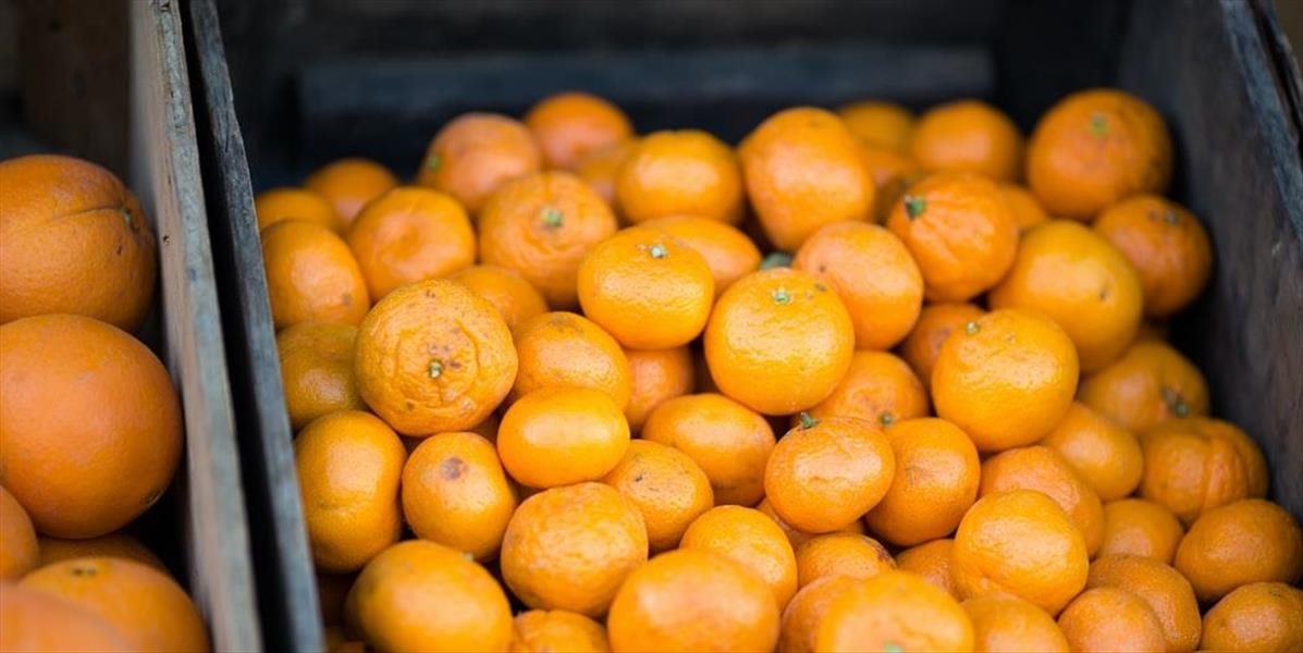 Škatuľa mandarínok sa v Japonsku predala za závratnú sumu. Vraj sú výnimočne kvalitné