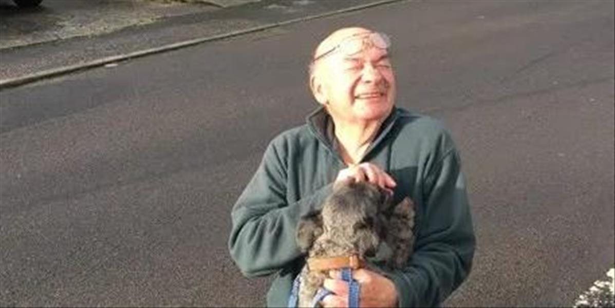 Staručký pán už 13 rokov každý deň venčí psíky starších a chorých ľudí
